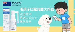 狗狗脚丫告急：全面认识趾间炎，守护爱宠的每一步