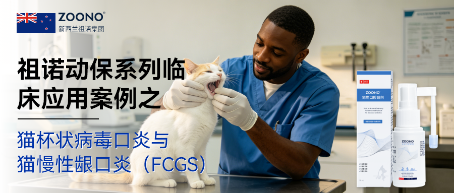 新闻