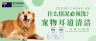 ZOONO祖诺耳康滴液-宠物耳道清洁全攻略：什么情况必须洗？如何安全操作？